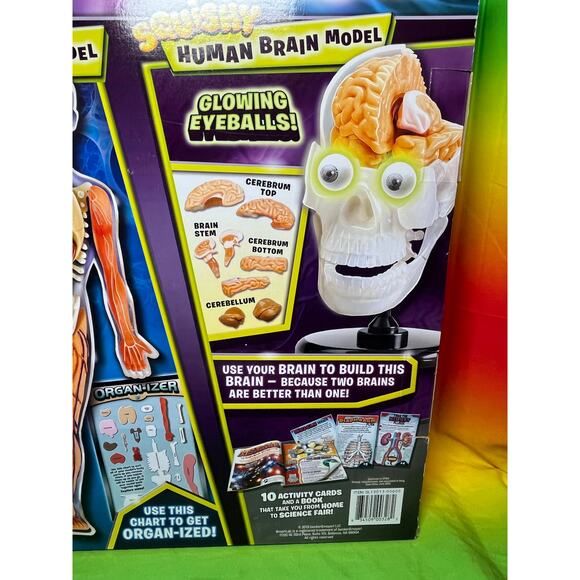 SMARTLAB Toys Totally Squishy from Head-to-Toe Human Body - Picture 6 of 6